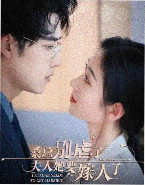 手机免费看电视剧《逆流而上》在线播放